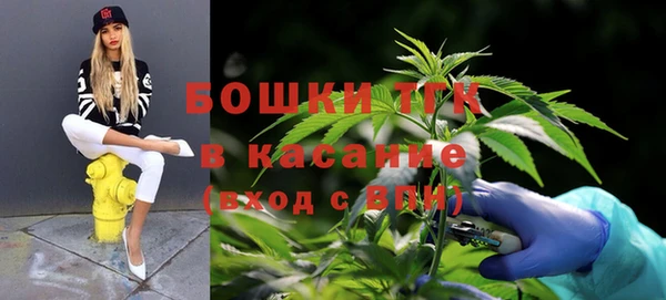 индика Переславль-Залесский