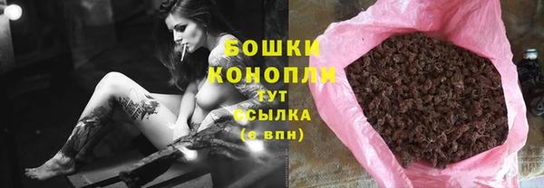 индика Переславль-Залесский