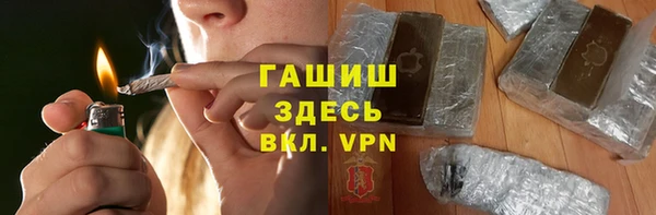 индика Переславль-Залесский