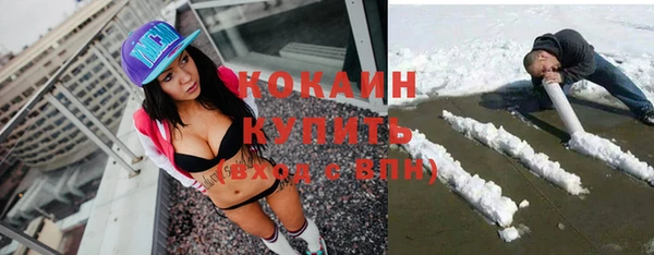 тгк Пестово