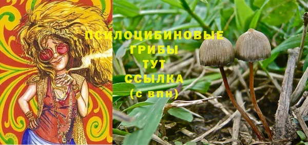 тгк Пестово